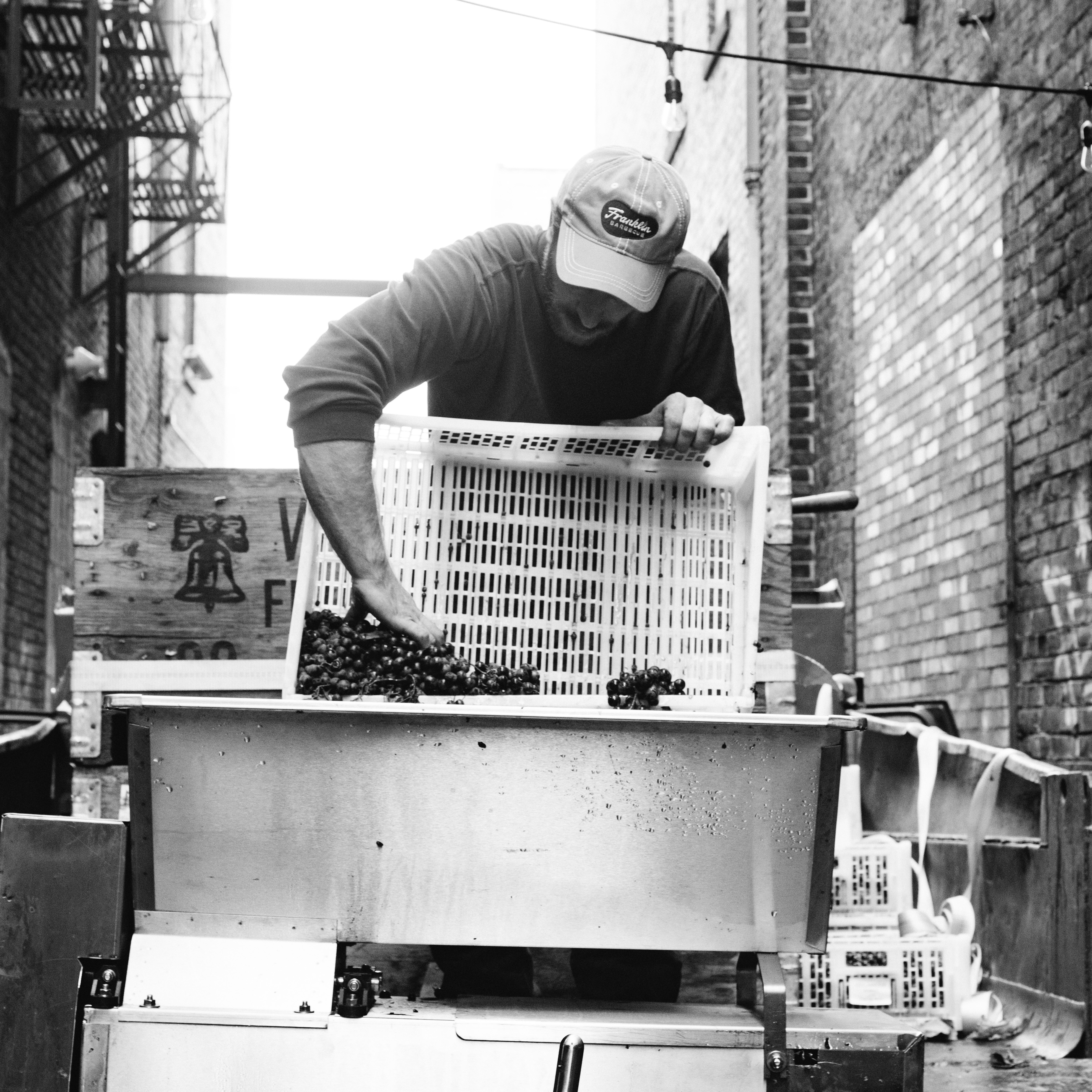 Black and white photo of two Revel workers emptying grape crates into the crusher during harvest